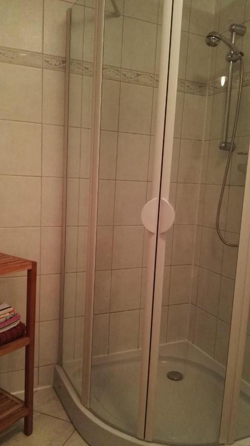 Feriendomizil-Roger-Wohnung-1 Leipzig Bagian luar foto